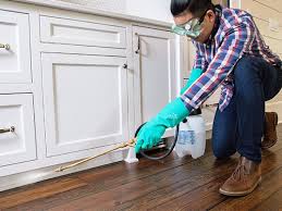 Best Pest Control for Multi-Family Homes  in Amite City, LA