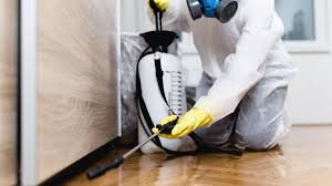 Best Termite Inspection and Treatment  in Amite City, LA